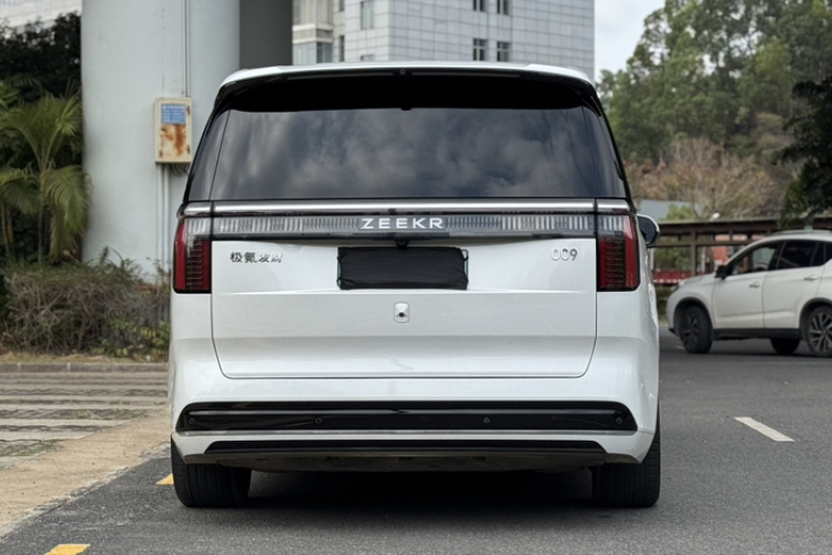 极氪 极氪009 2024 汽车图片 #5