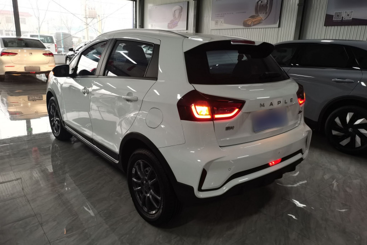 X3 PRO 2023 car image #5