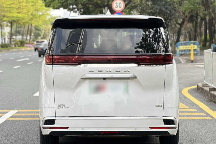 Denza D9 2023 imagem de carro #5