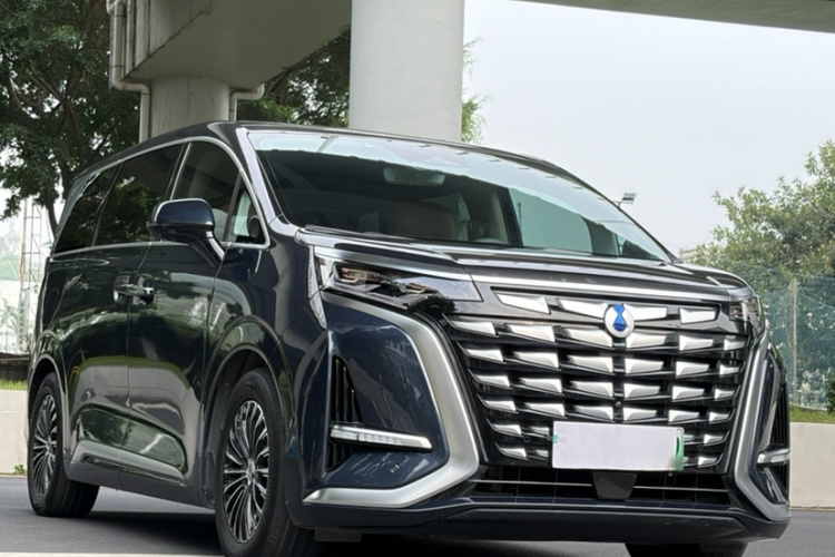 Denza D9 2023 imagen de coche #5