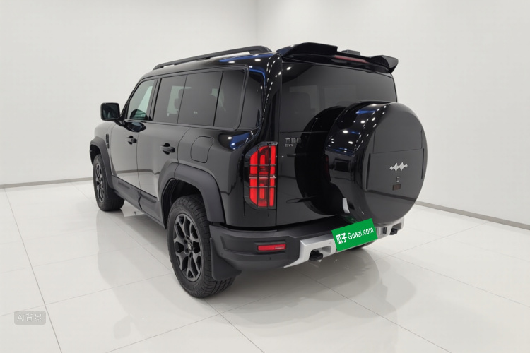 FangChengBao Leopard 5 2023 car image #5