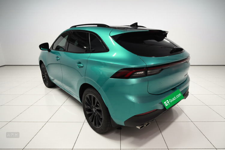 T5 EVO 2021 car image #5