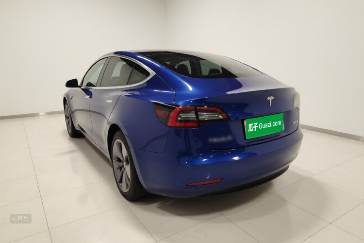 特斯拉 Model 3(进口) 2019 汽车图片 #5