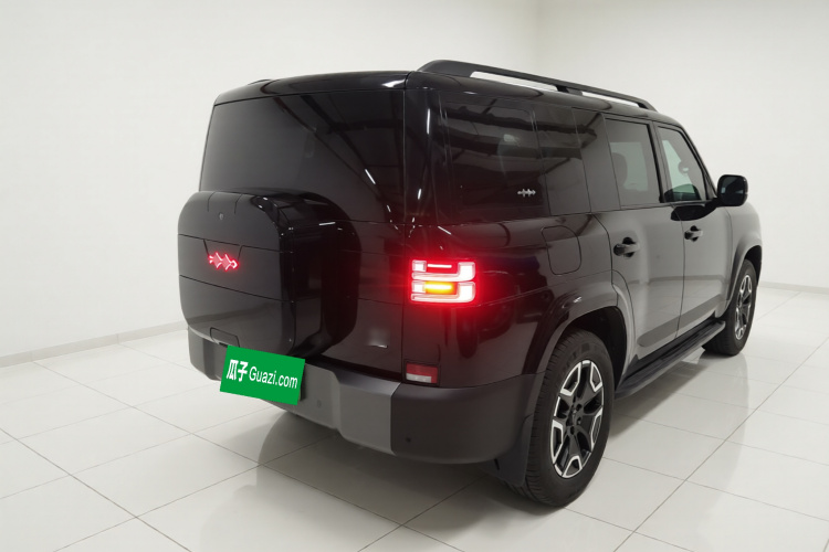 FangChengBao Tiger 7 2025 изображение автомобиля #5