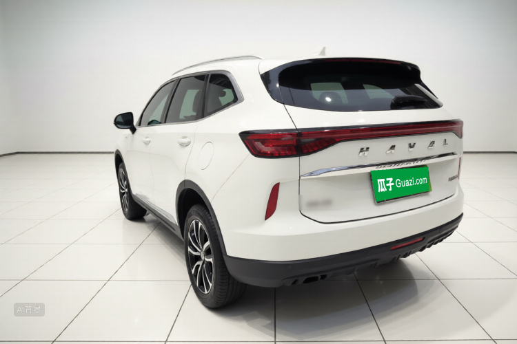 Haval H6 2023 immagine di auto #5