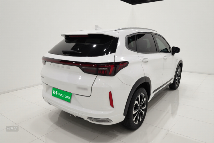 Exceed Chasing Wind C-DM 2023 изображение автомобиля #5