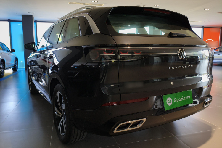 Volkswagen Tavendor 2024 immagine di auto #5