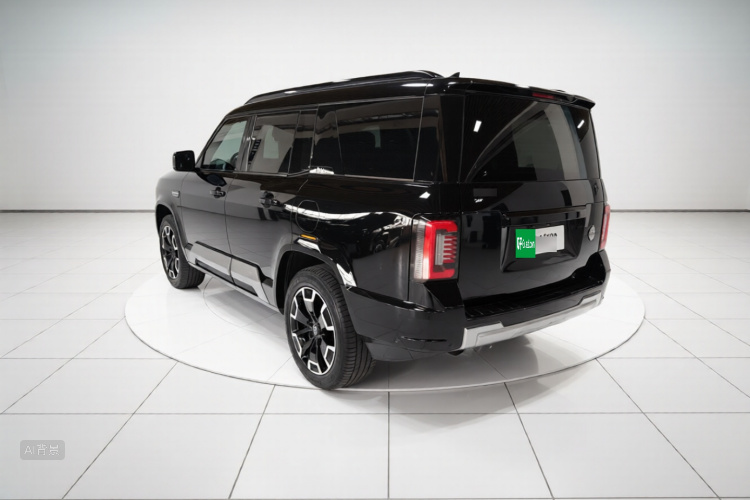 FangChengBao Leopard 8 2024 immagine di auto #5