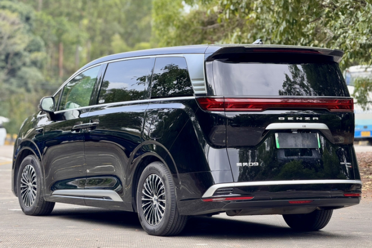 Denza D9 2025 изображение автомобиля #5