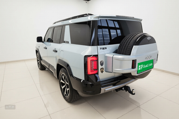 FangChengBao Leopard 8 2025 car image #5