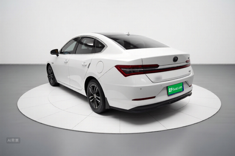 BYD Qin Pro 2019 imagen de coche #5