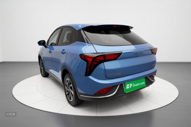 Neta V 2022 imagen de coche #5