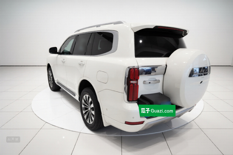 坦克 坦克500 2022 汽车图片 #5