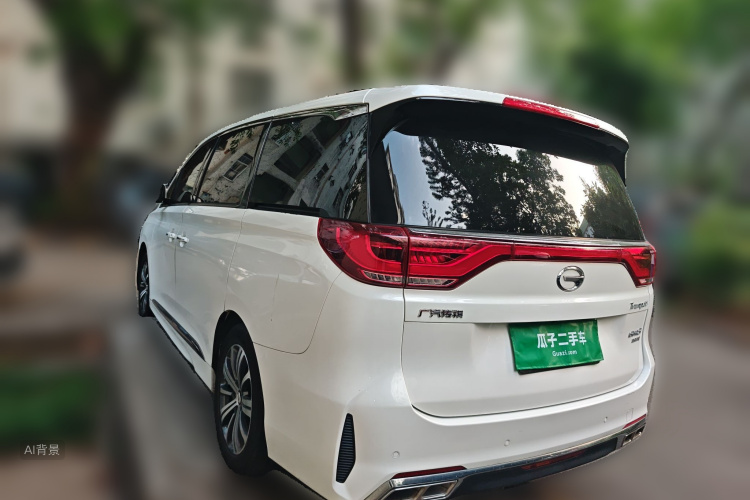 GAC Trumpchi M8 2020 car image #5