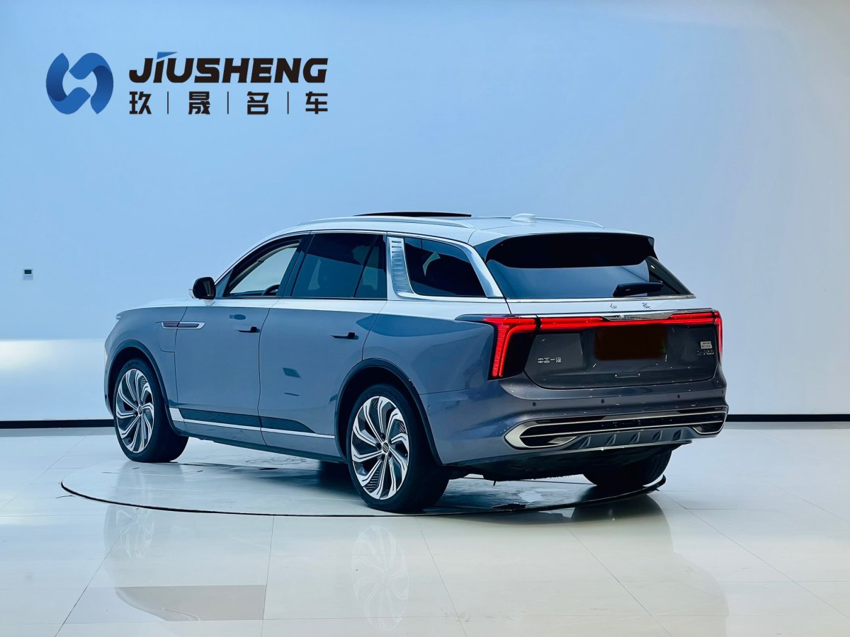 HongQi E-HS9 2022 car image #5