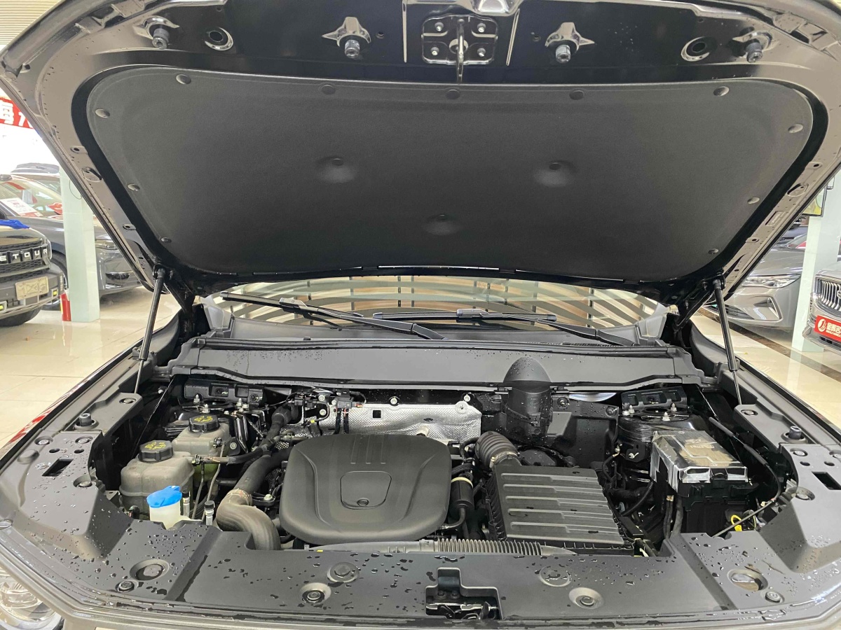 Haval X Dog 2 New Energy 2024 car image #5