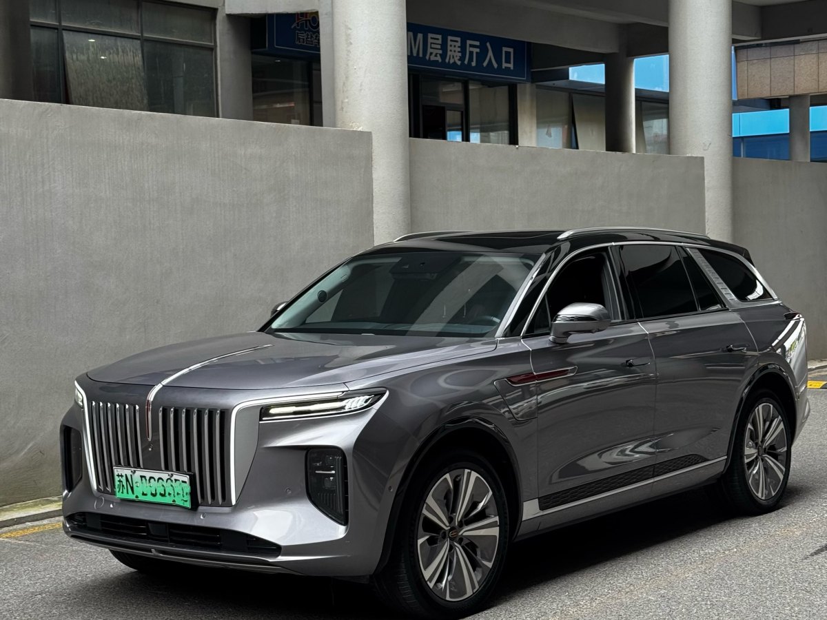 HongQi E-HS9 2021 #5 HongQi E-HS9 2021 immagine di auto #5