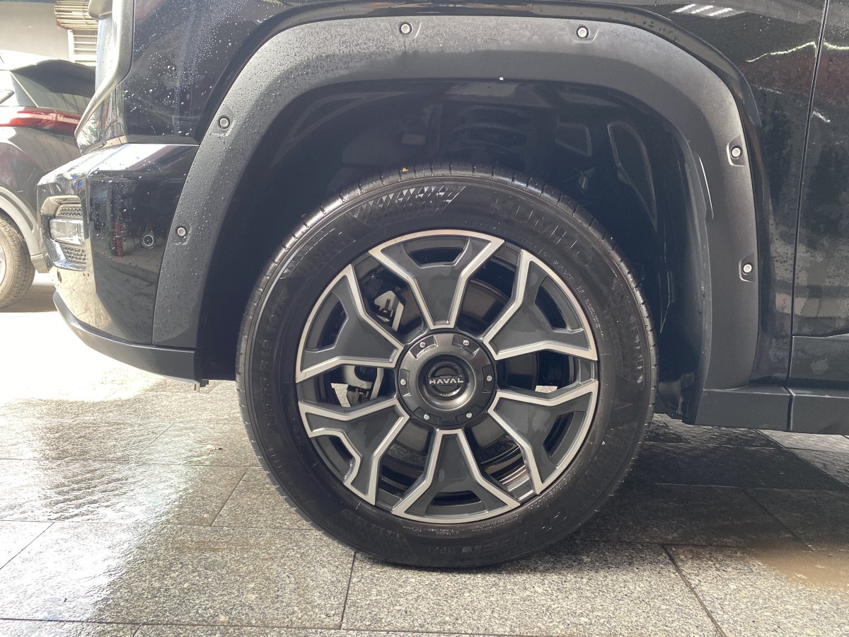 Haval X Dog 2 New Energy 2024 car image #5