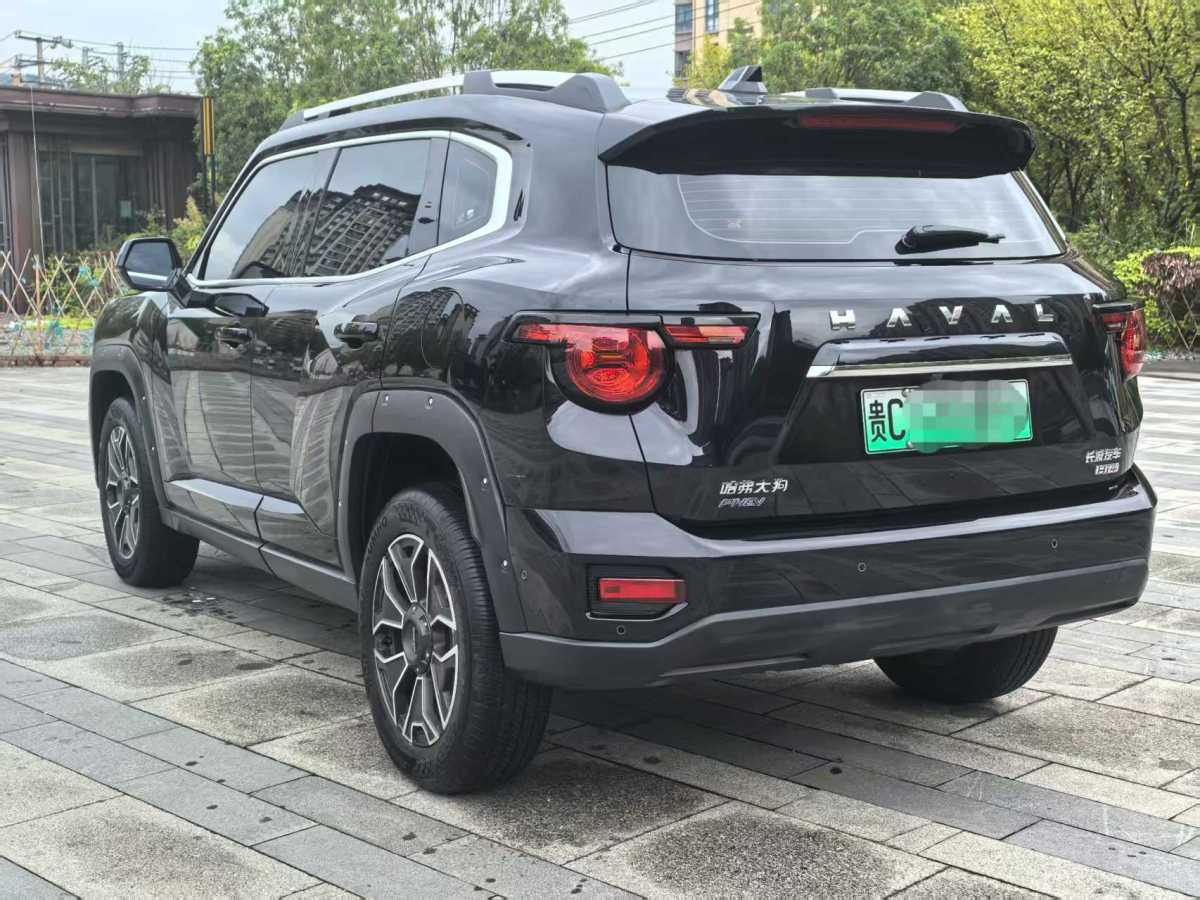 Haval X Dog 2 New Energy 2024 car image #5