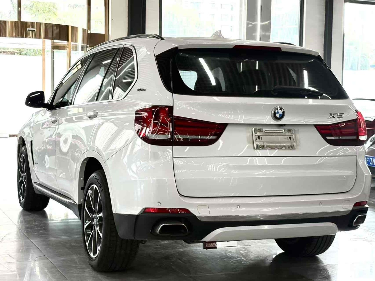 BMW X5 New Energy (Imported) 2019 car image #5