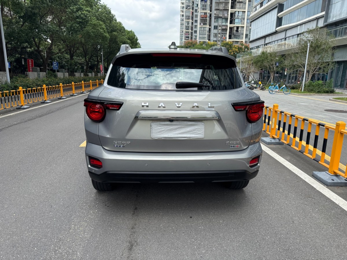 Haval X Dog 2 New Energy 2024 car image #5