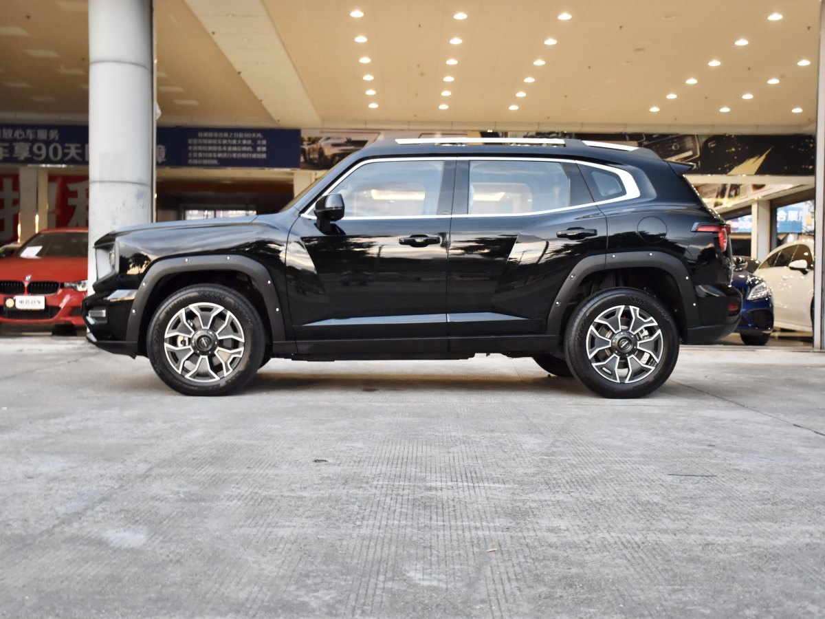 Haval X Dog 2 New Energy 2023 car image #5