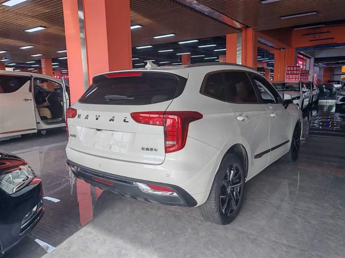 Haval Jolion 2020 car image #5