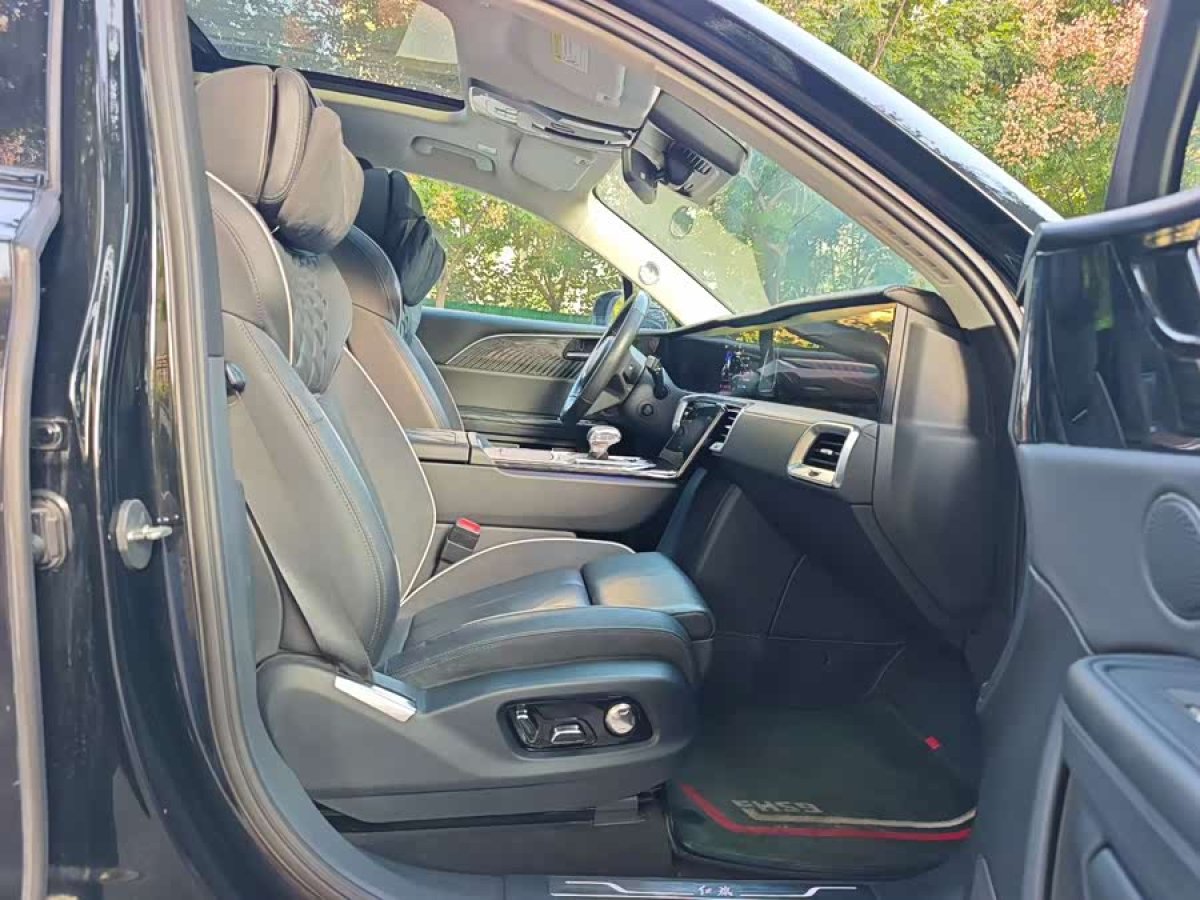 HongQi E-HS9 2022 car image #5