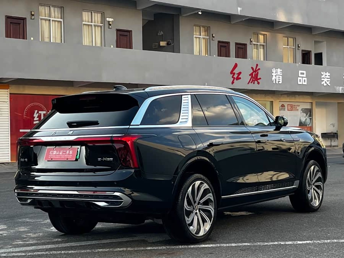 HongQi E-HS9 2025 car image #5