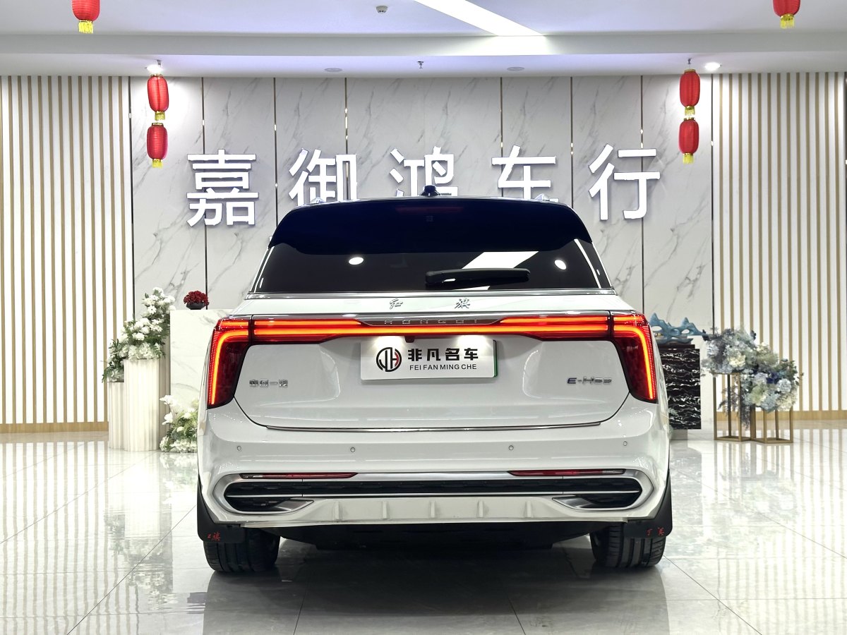 HongQi E-HS9 2021 #5 HongQi E-HS9 2021 car image #5