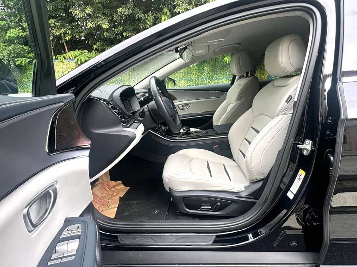 BYD e9 2021 car image #5