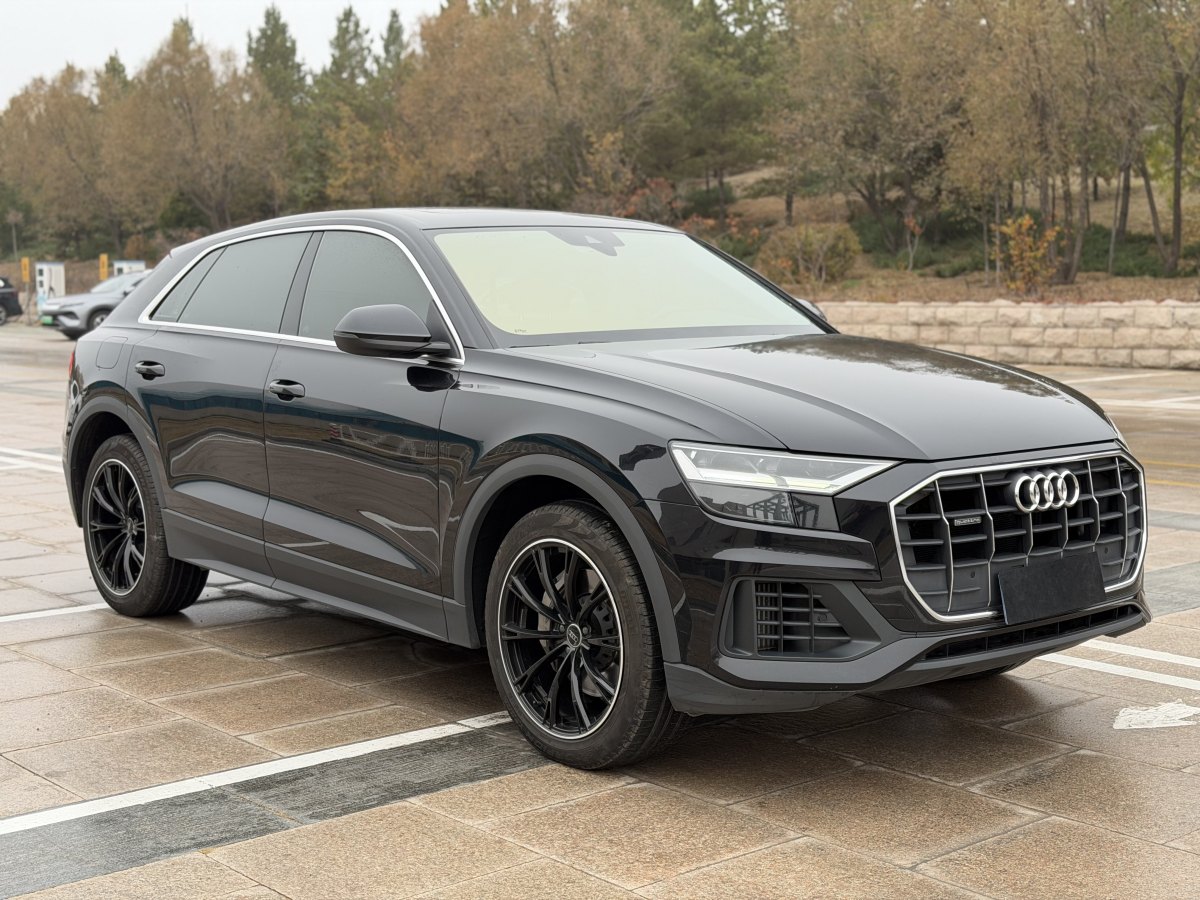 Audi RS Q8 2022 car image #5