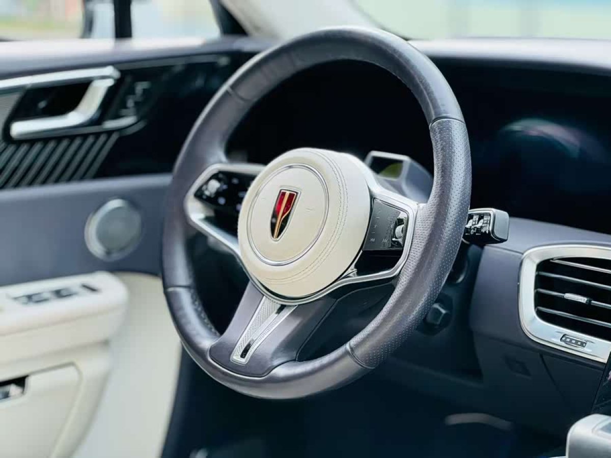 HongQi E-HS9 2020 immagine di auto #5