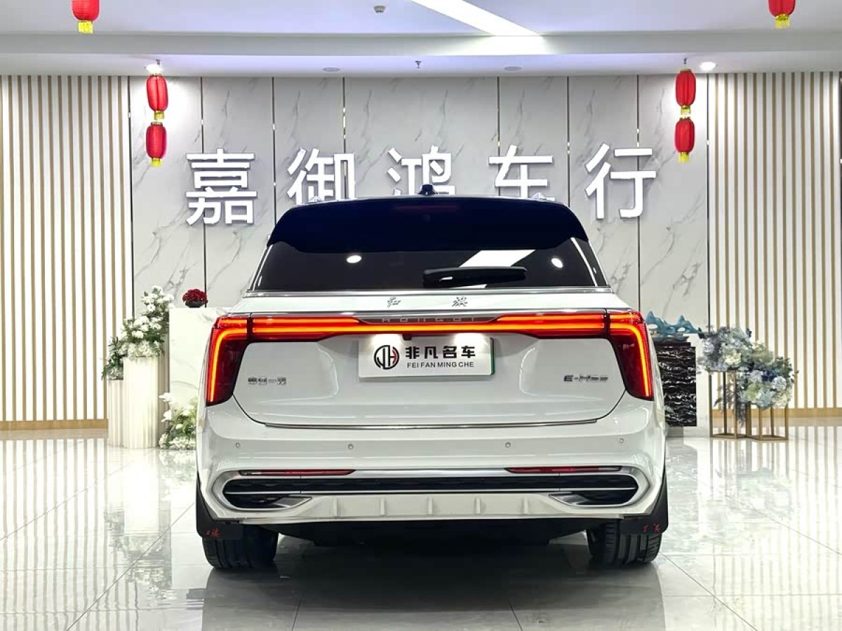HongQi E-HS9 2021 #5 HongQi E-HS9 2021 immagine di auto #5