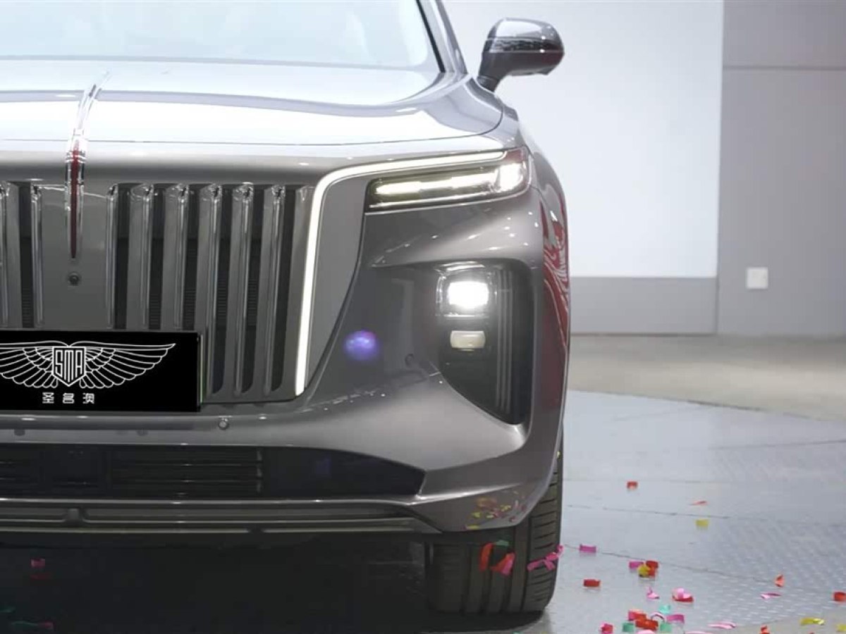 HongQi E-HS9 2023 car image #5