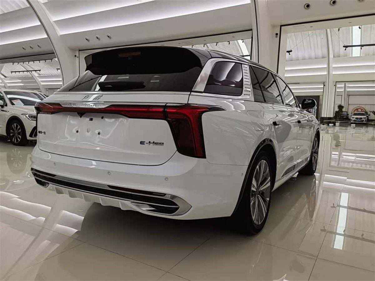 HongQi E-HS9 2021 #5 HongQi E-HS9 2021 immagine di auto #5