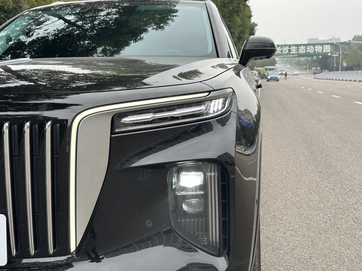 HongQi E-HS9 2022 #5 HongQi E-HS9 2022 car image #5