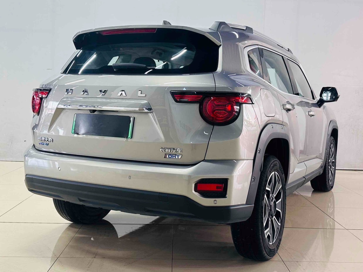 Haval X Dog 2 New Energy 2023 car image #5