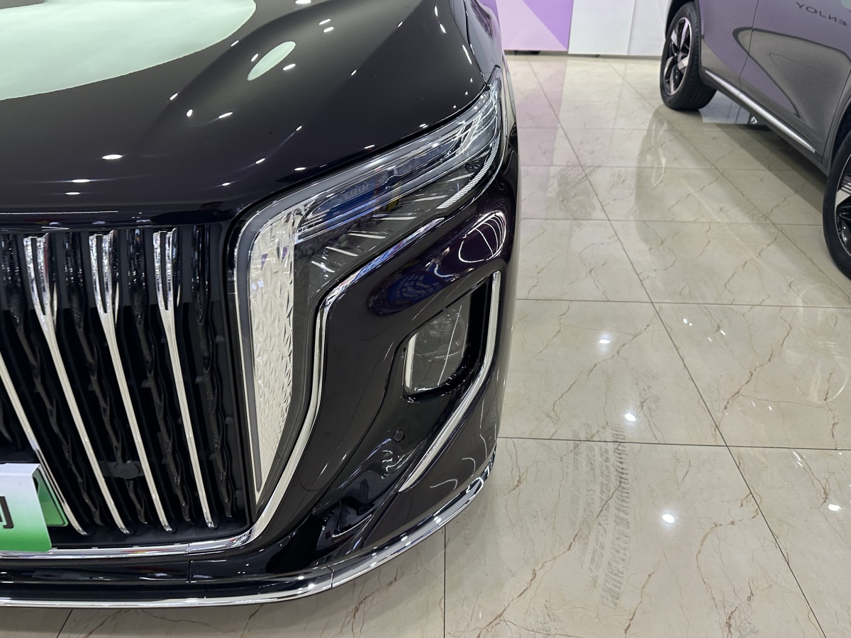 HongQi HQ9 PHEV 2024 car image #5