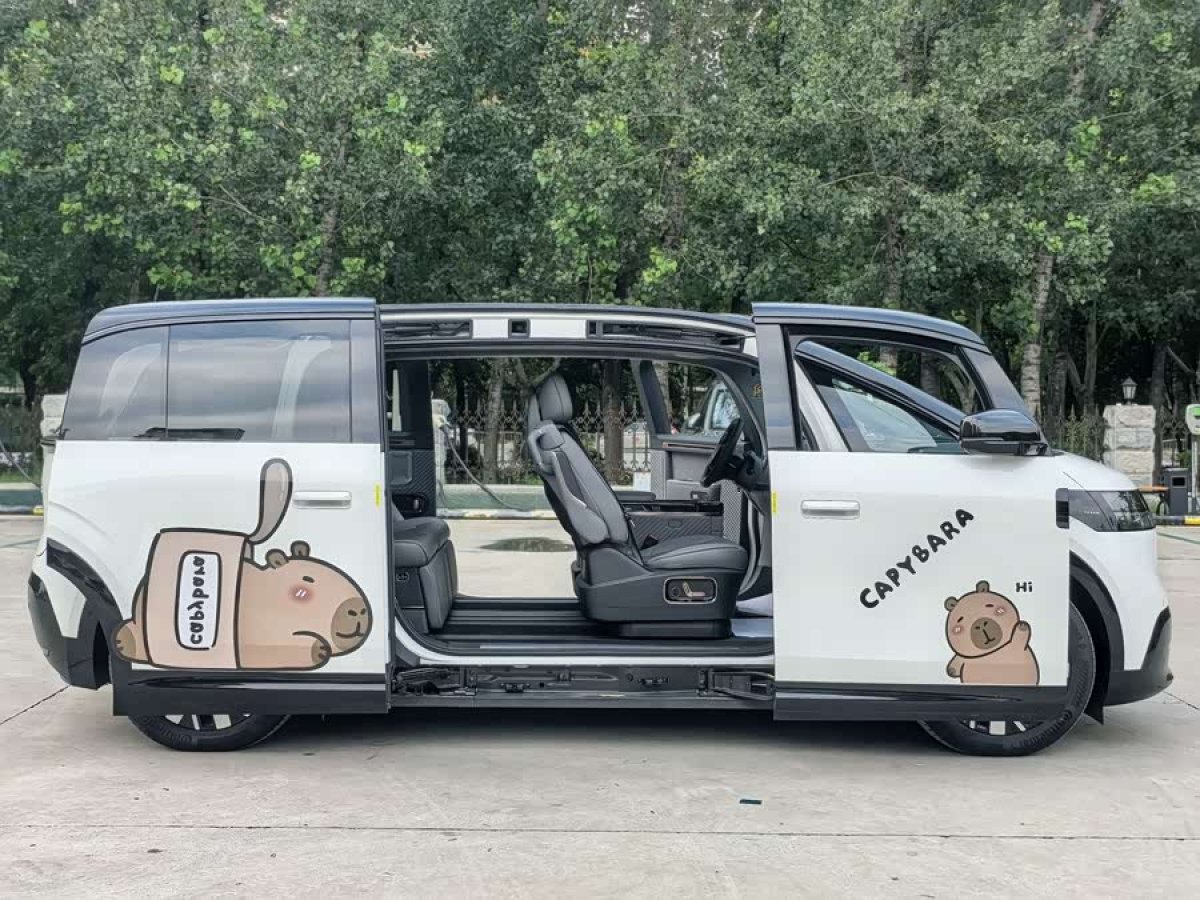 Zeekr MIX 2024 car image #5