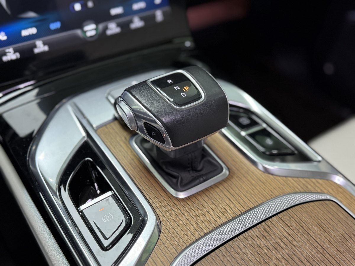 HongQi E-HS9 2021 immagine di auto #5