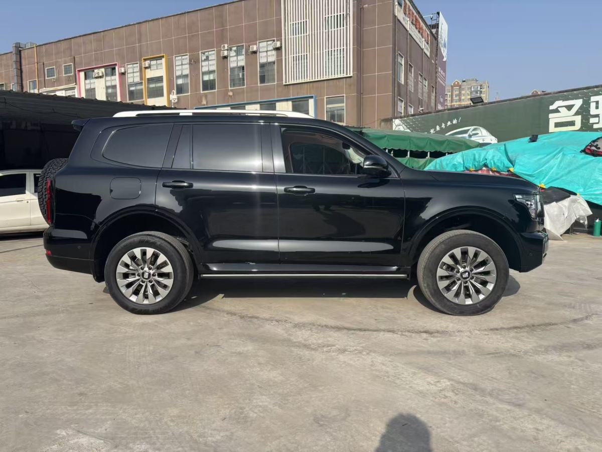 Tank 500 New Energy 2024 car image #5