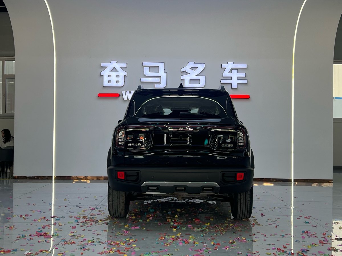 Haval X Dog / Dargo 2025 #5 Haval X Dog / Dargo 2025 car image #5