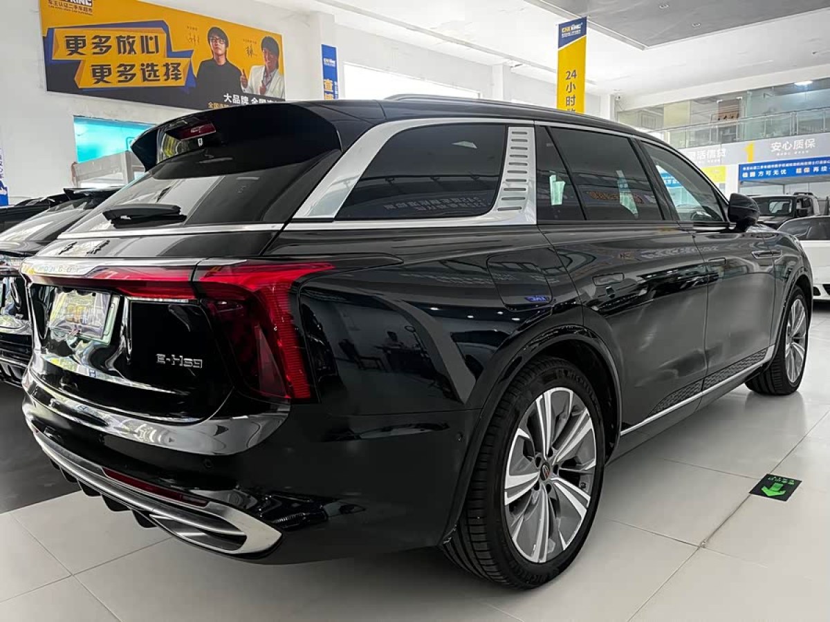 HongQi E-HS9 2023 immagine di auto #5