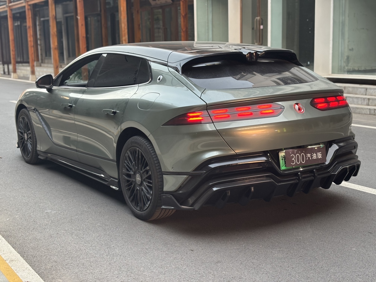 Denza Z9GT 2024 immagine di auto #5