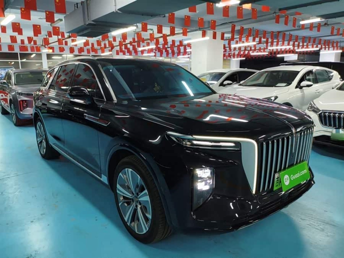 HongQi E-HS9 2023 car image #5