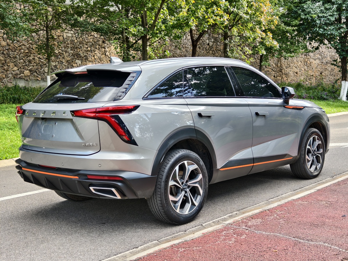 Haval H6 2022 immagine di auto #5