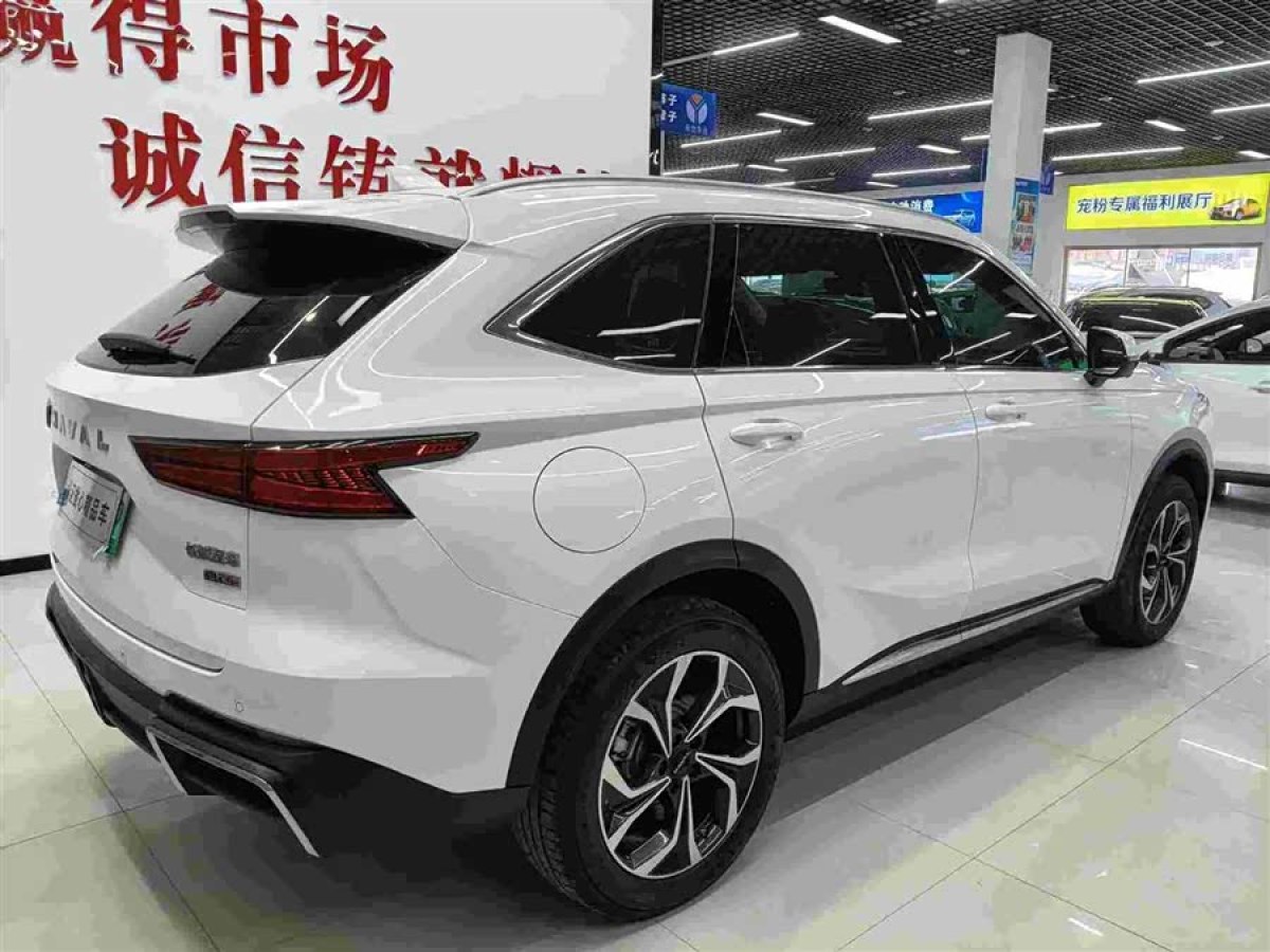Haval Fierce Dragon MAX 2023 car image #5