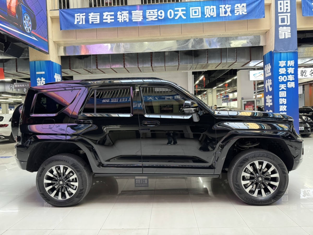 Tank 700 New Energy 2024 immagine di auto #5