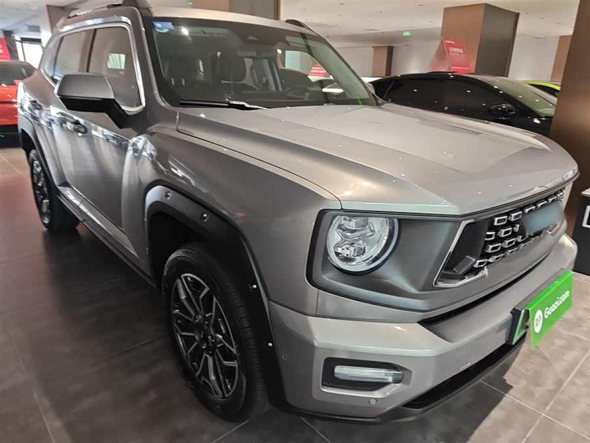 Haval X Dog 2 New Energy 2024 car image #5